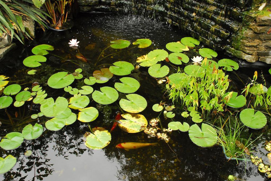 Brockamour Manor Bed And Breakfast Niagara-on-the-Lake Ngoại thất bức ảnh